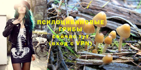 mix Богородицк