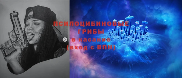 эйфоретик Богданович