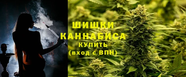 mix Богородицк