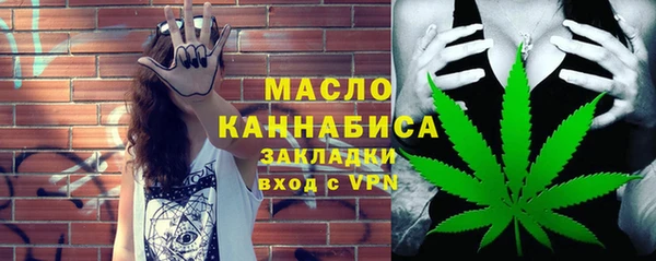mix Богородицк
