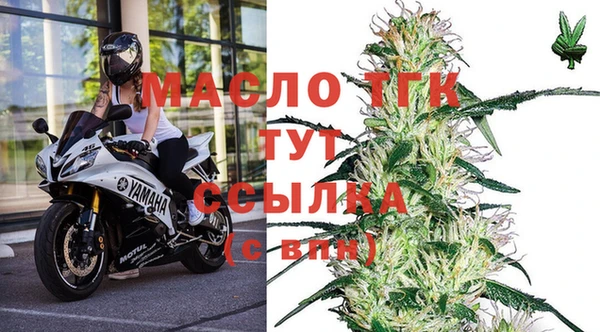 эйфоретик Богданович