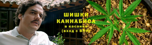 mix Богородицк