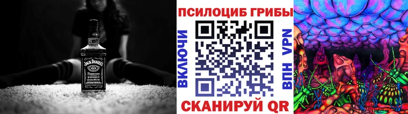 ОМГ ОМГ зеркало Нефтекамск Псилоцибиновые грибы мухоморы купить